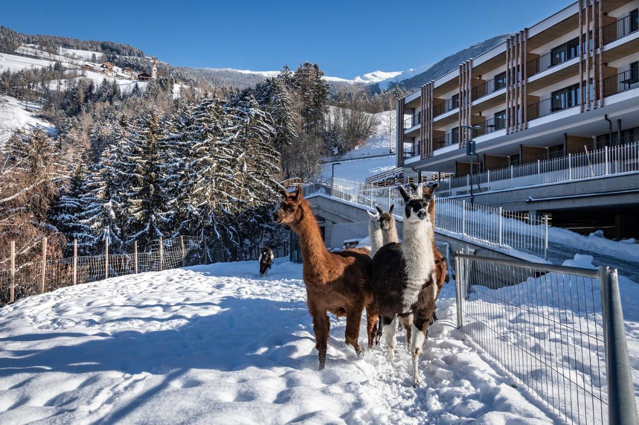 Hotel Torgglerhof Brixen Exterior foto