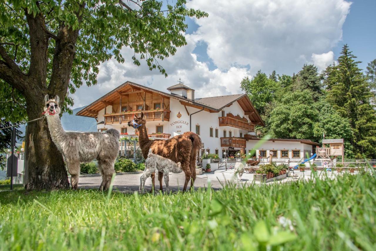 Hotel Torgglerhof Brixen Exterior foto